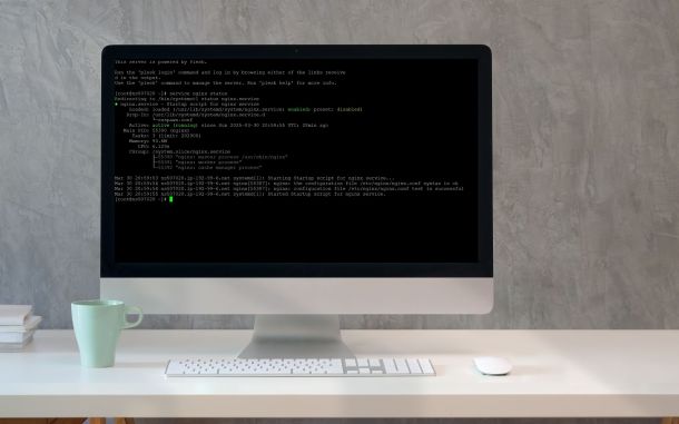 Checking Apache and Nginx Status in Plesk