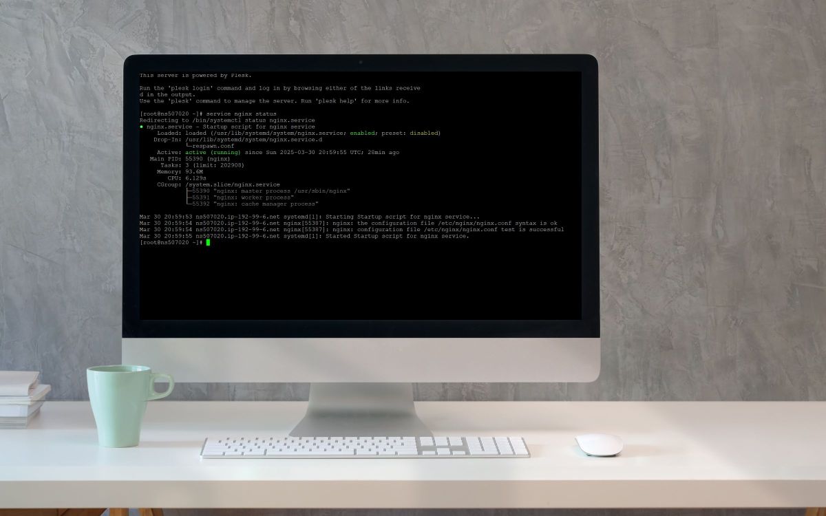 Checking Apache and Nginx Status in Plesk