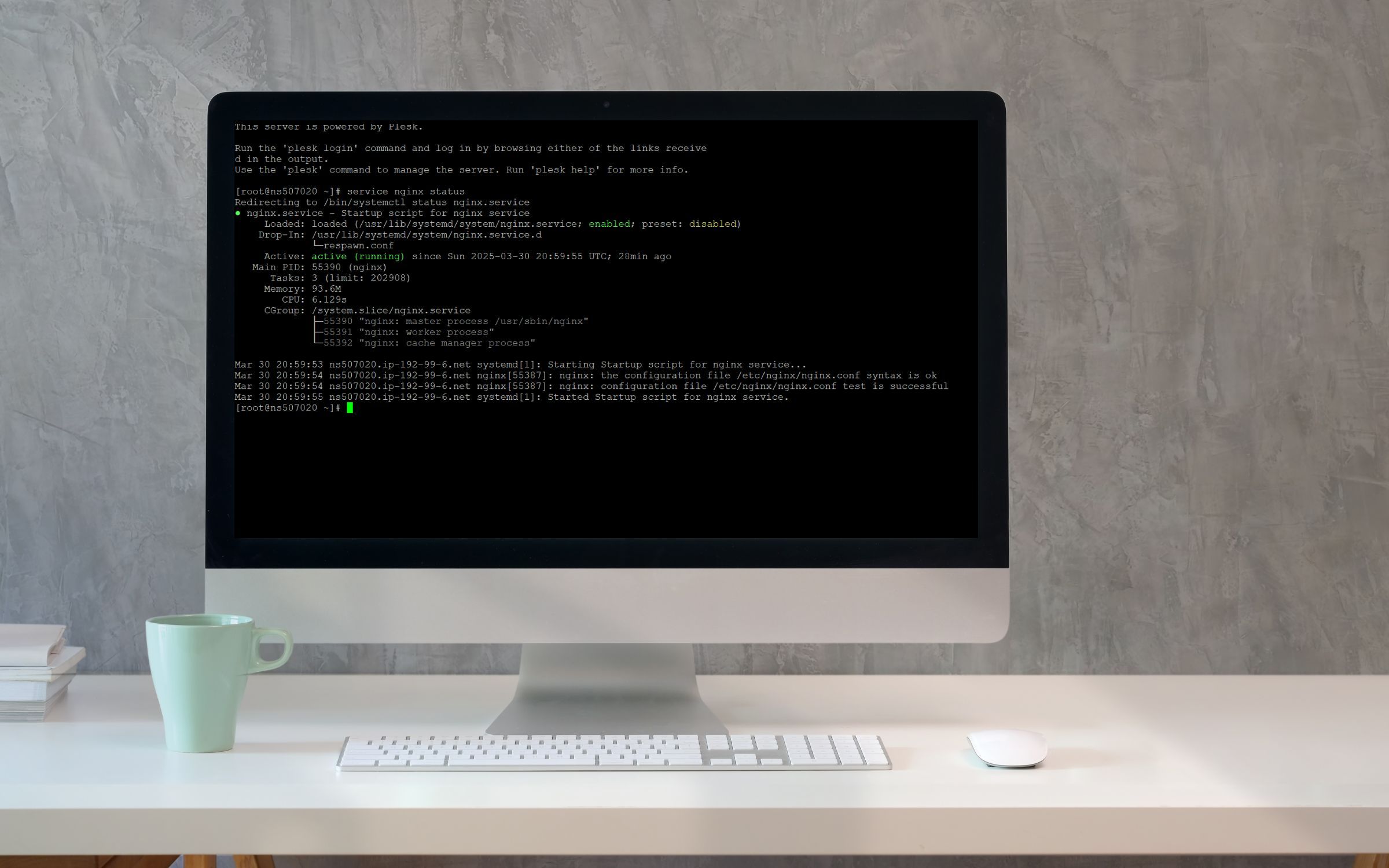 Checking Apache and Nginx Status in Plesk