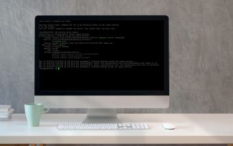 Checking Apache and Nginx Status in Plesk